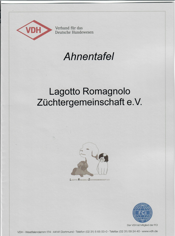 Ahnentafel Deckblatt