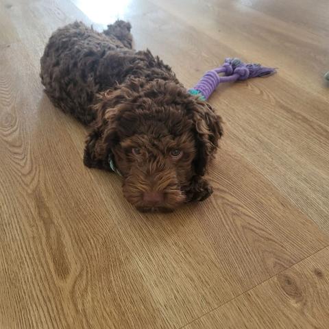 PHOTO-2025-06-27-16-01-03